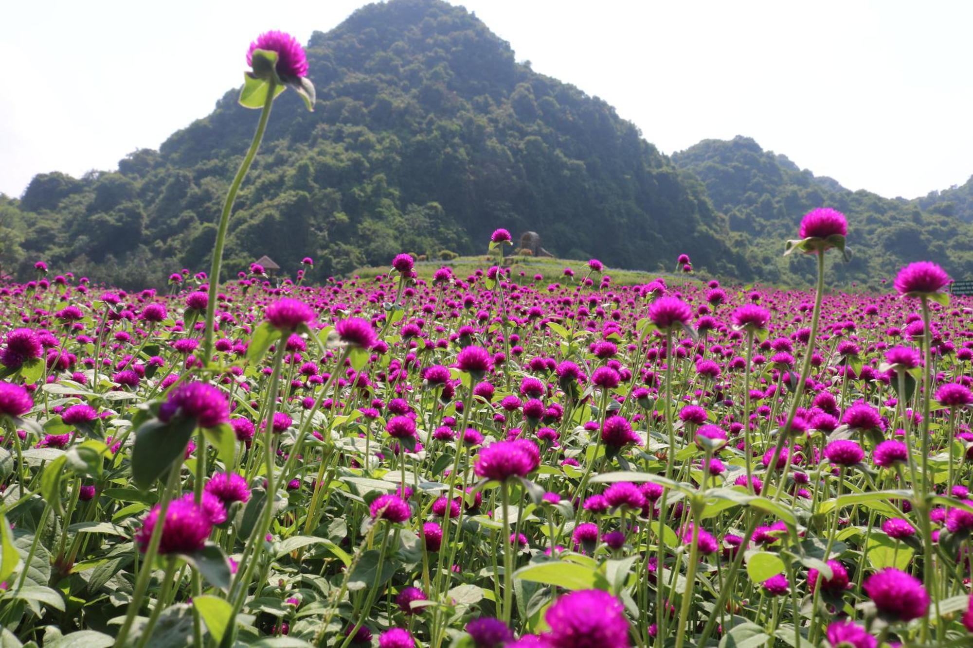Thung Nham Resort Ninh Binh Luaran gambar