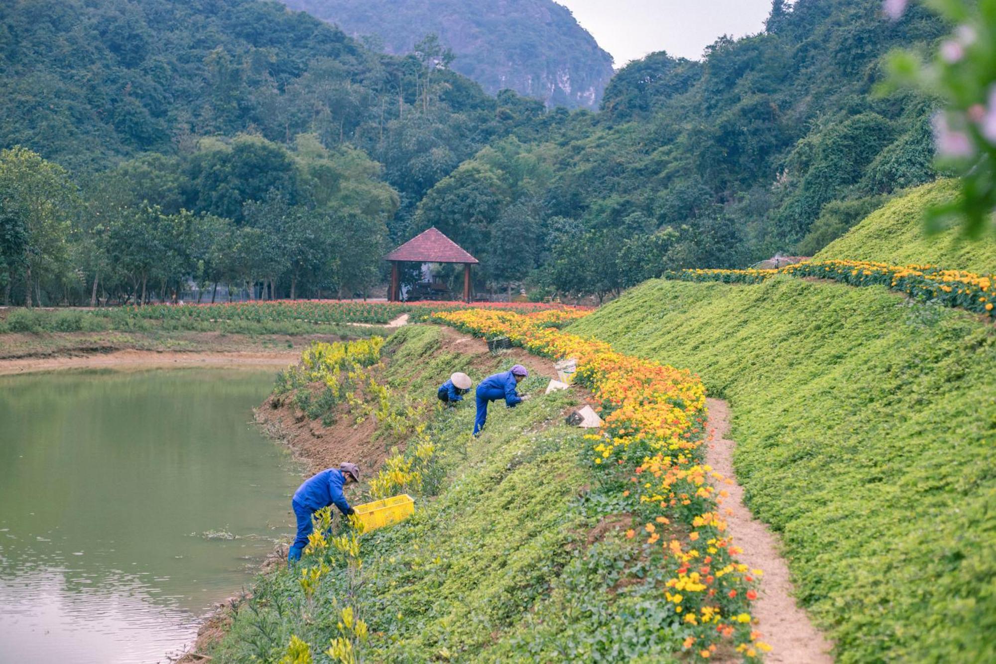 Thung Nham Resort Ninh Binh Luaran gambar