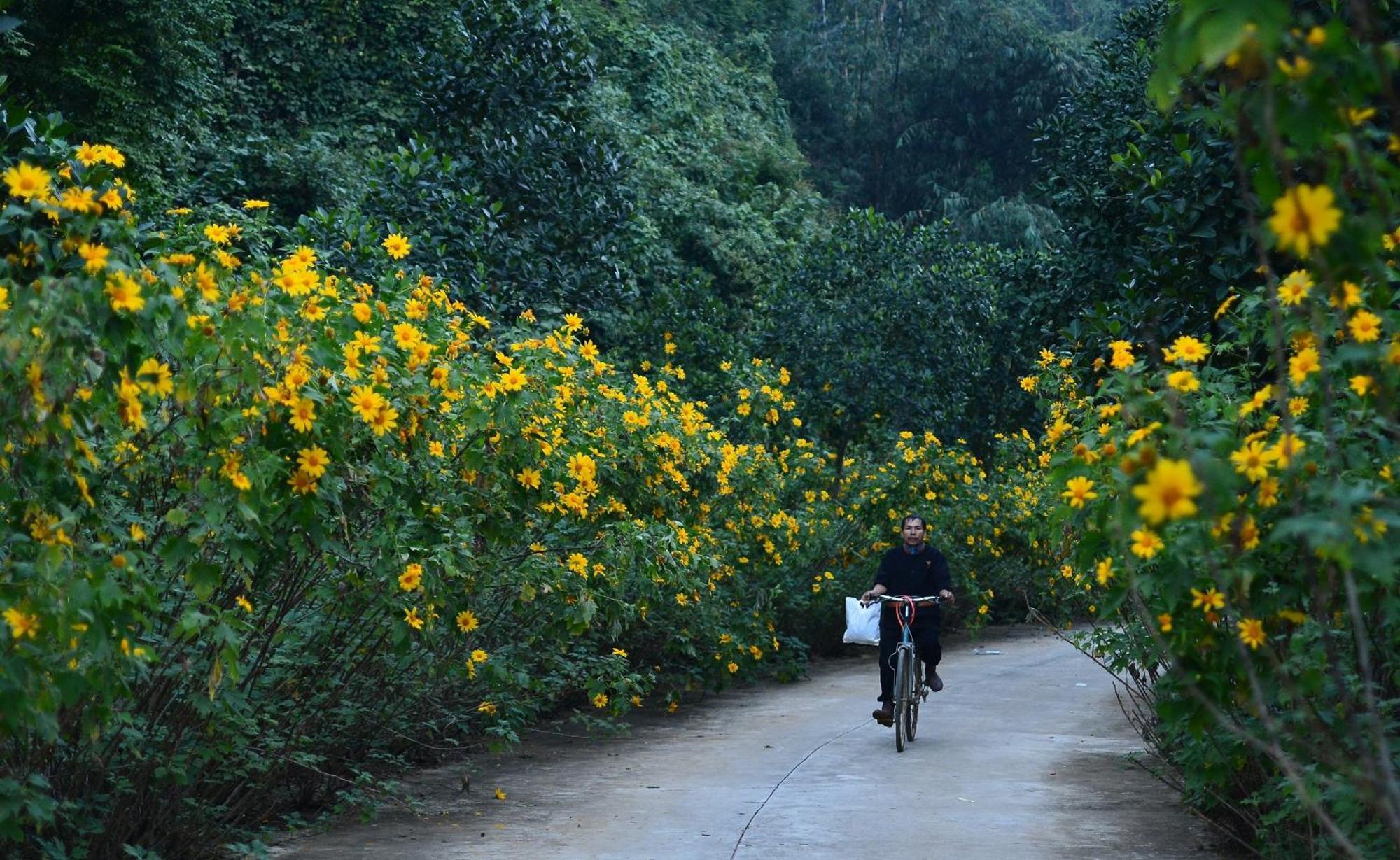Thung Nham Resort Ninh Binh Luaran gambar